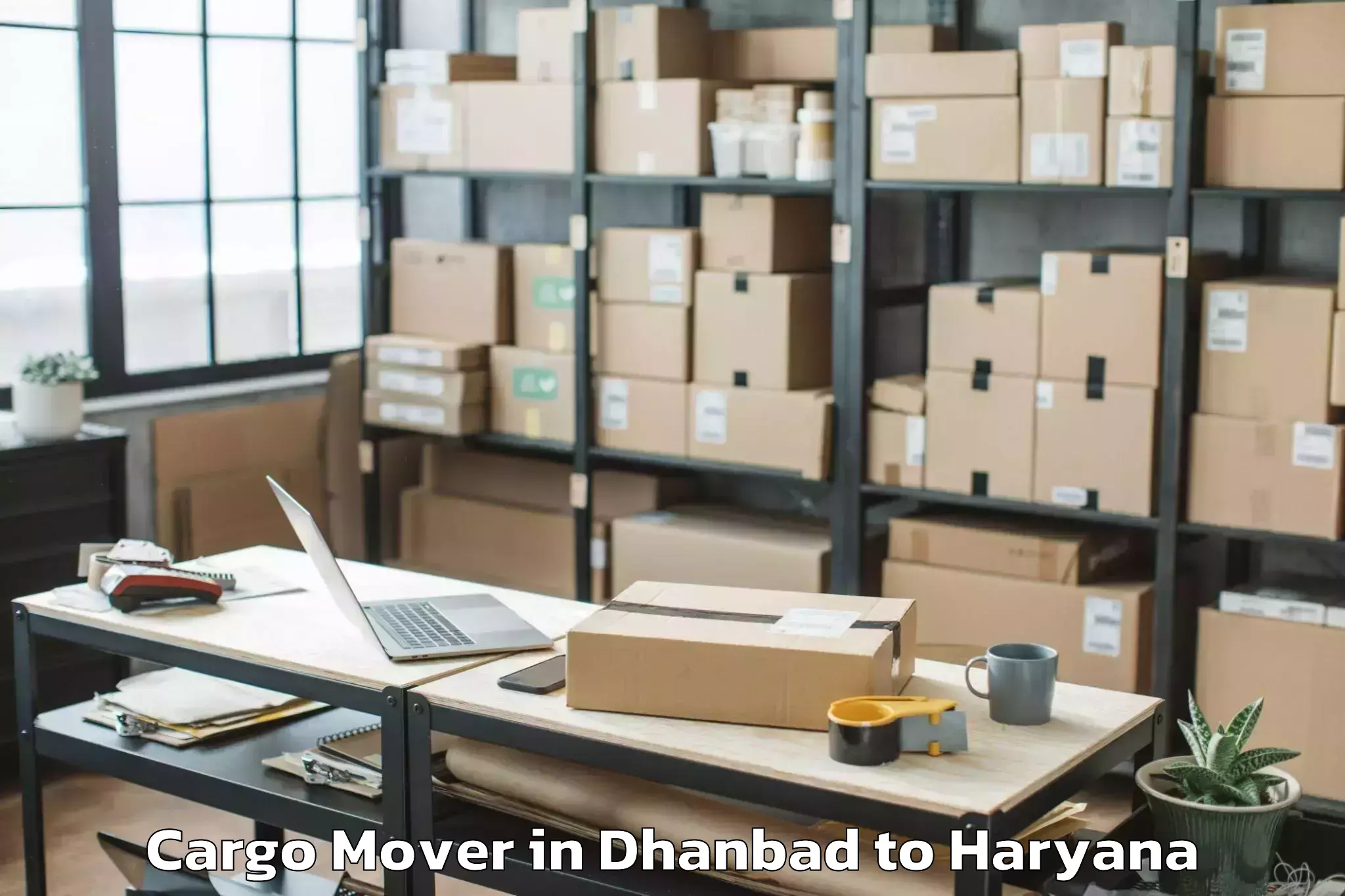 Professional Dhanbad to Khewra Cargo Mover